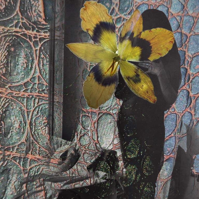 Коли закінчиться війна