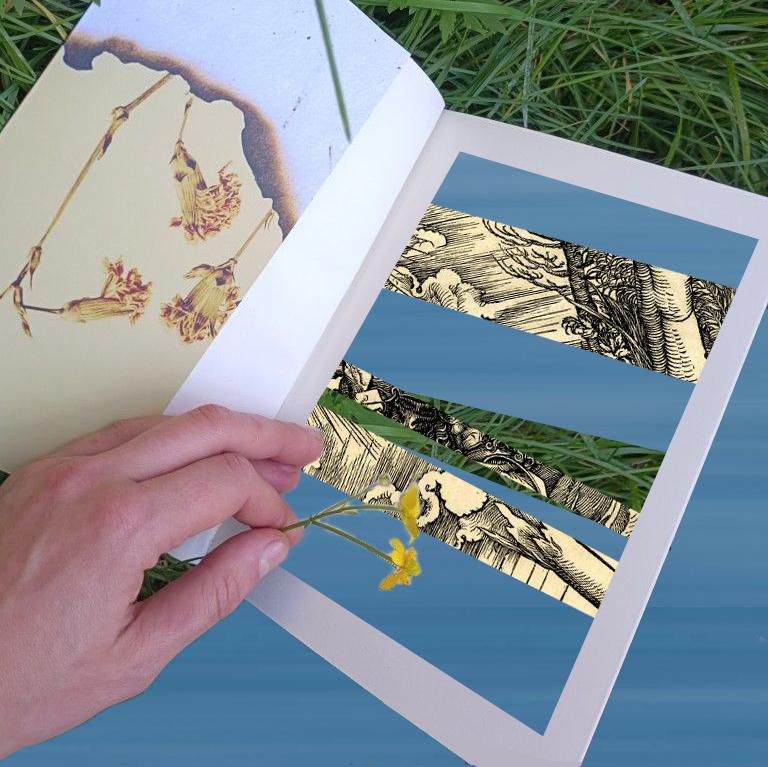 Про Шимборську без перебільшень