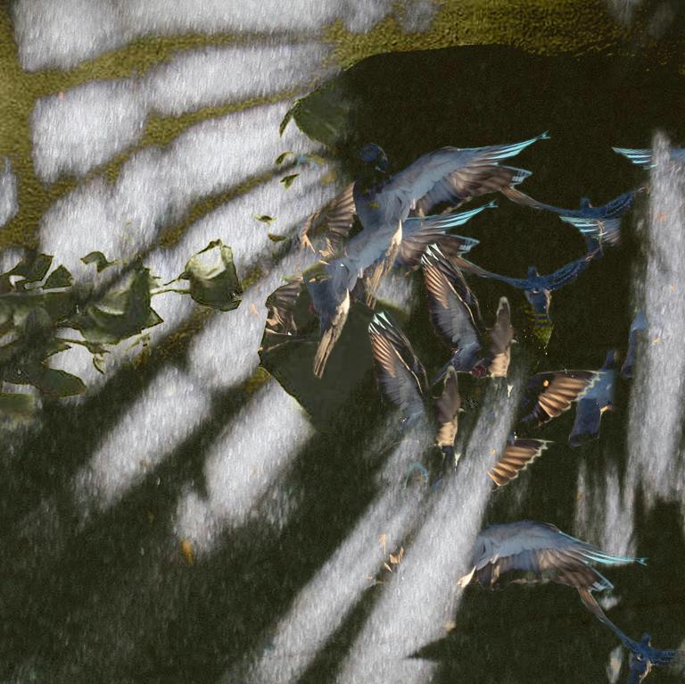 «Життя невірне...»