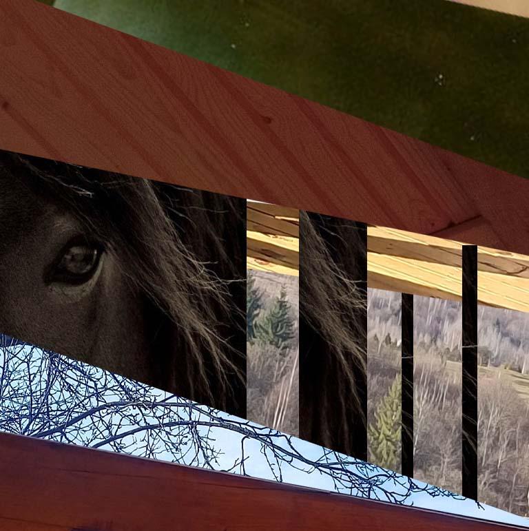 Марія. Українська повість. Частина друга. ХIV–ХVII