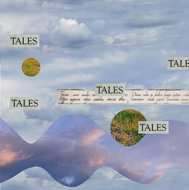 Літопис без назви. Бібліотека