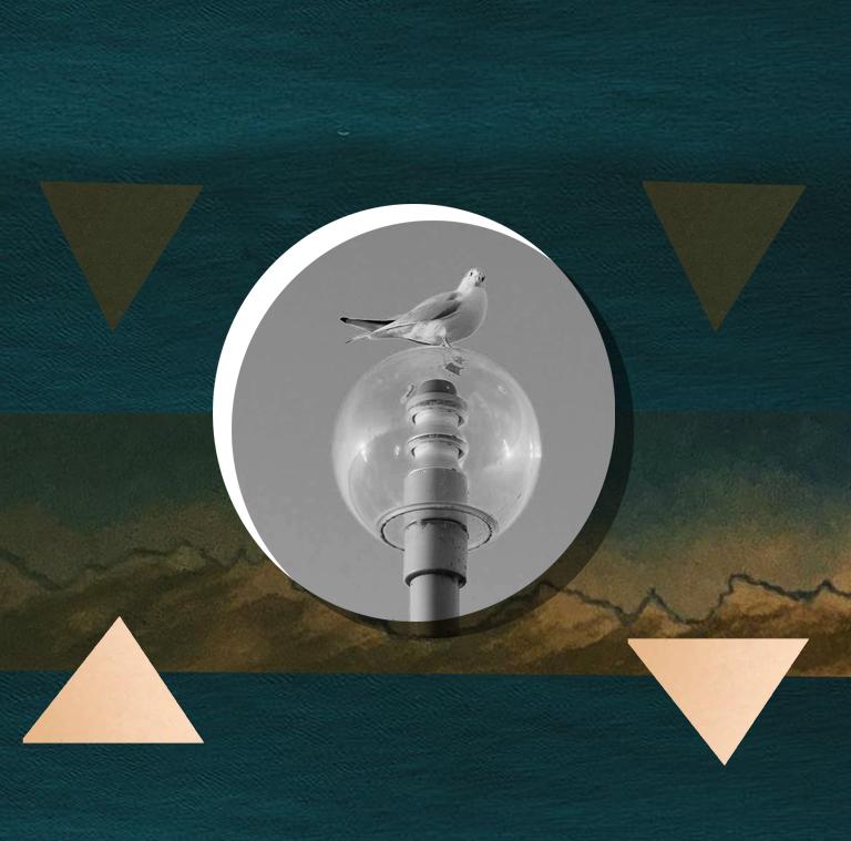 Карго культ