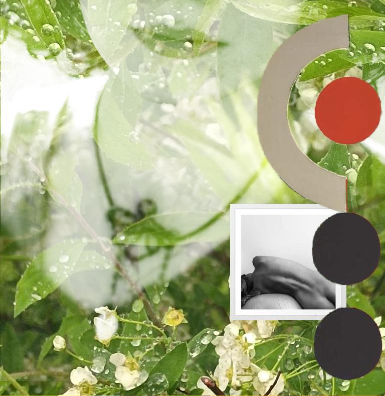 Кілька слів до «Слів Софії» Ганни Устинової